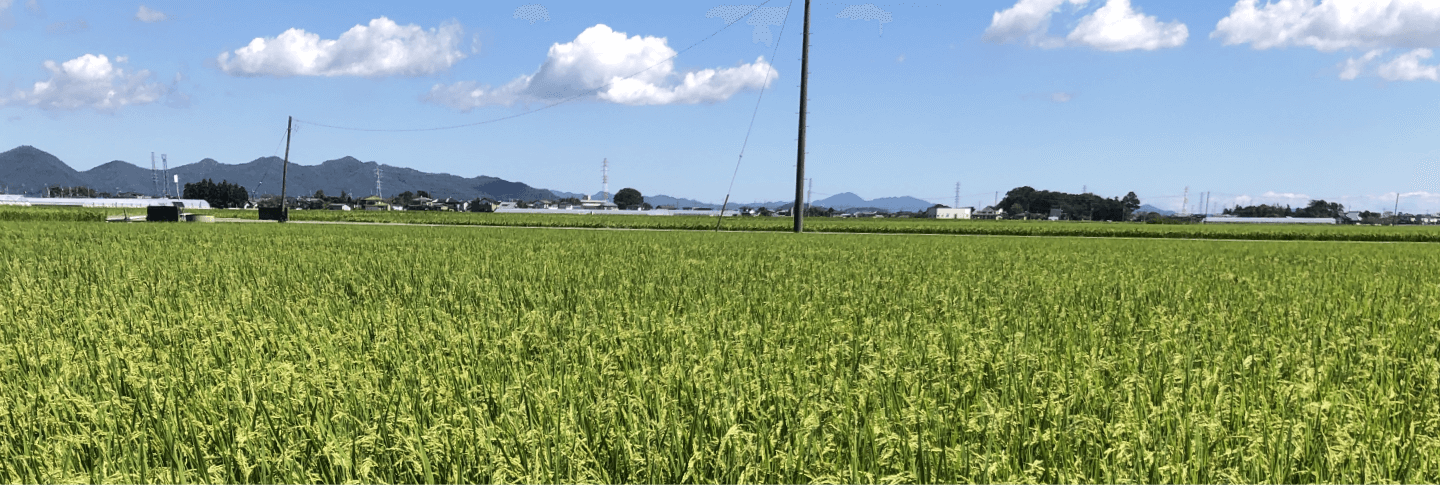 諸井農園